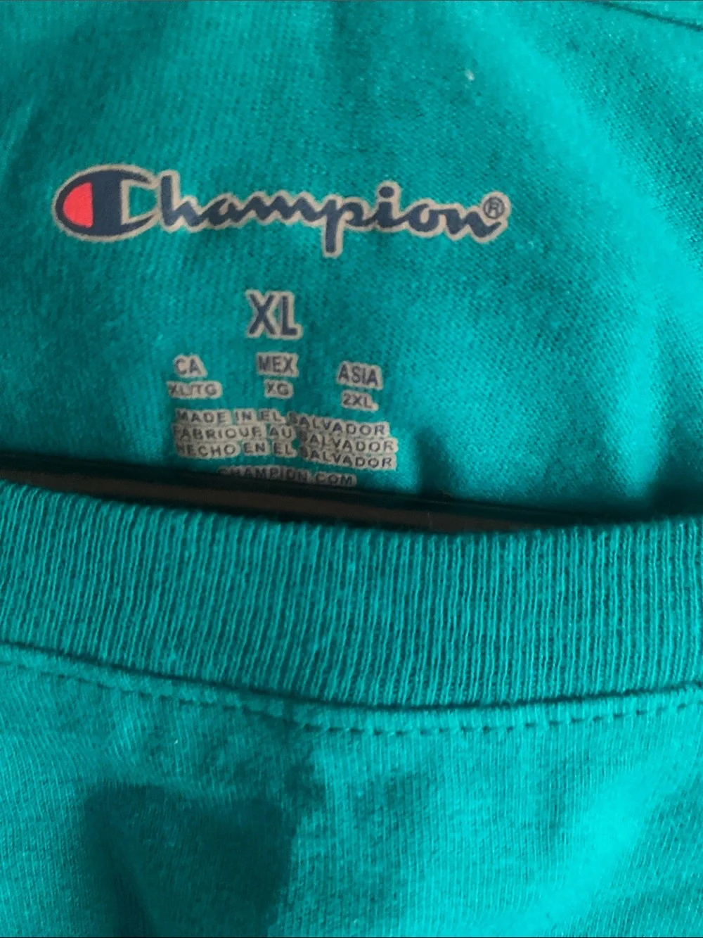 Champion Jungle Mint Classic Graphic Tee with White Logo - Picture 2 of 4
